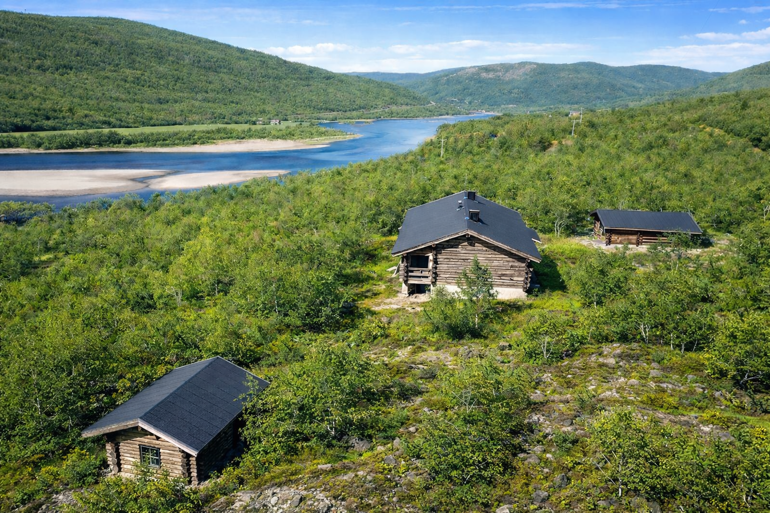 Property aerial in summer (AI)