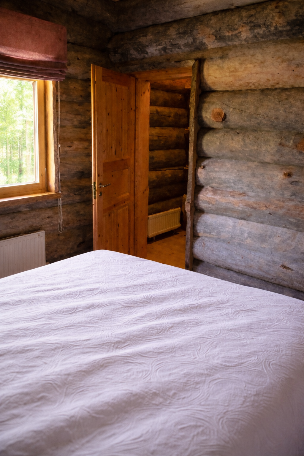 Bedroom with walk-in closet