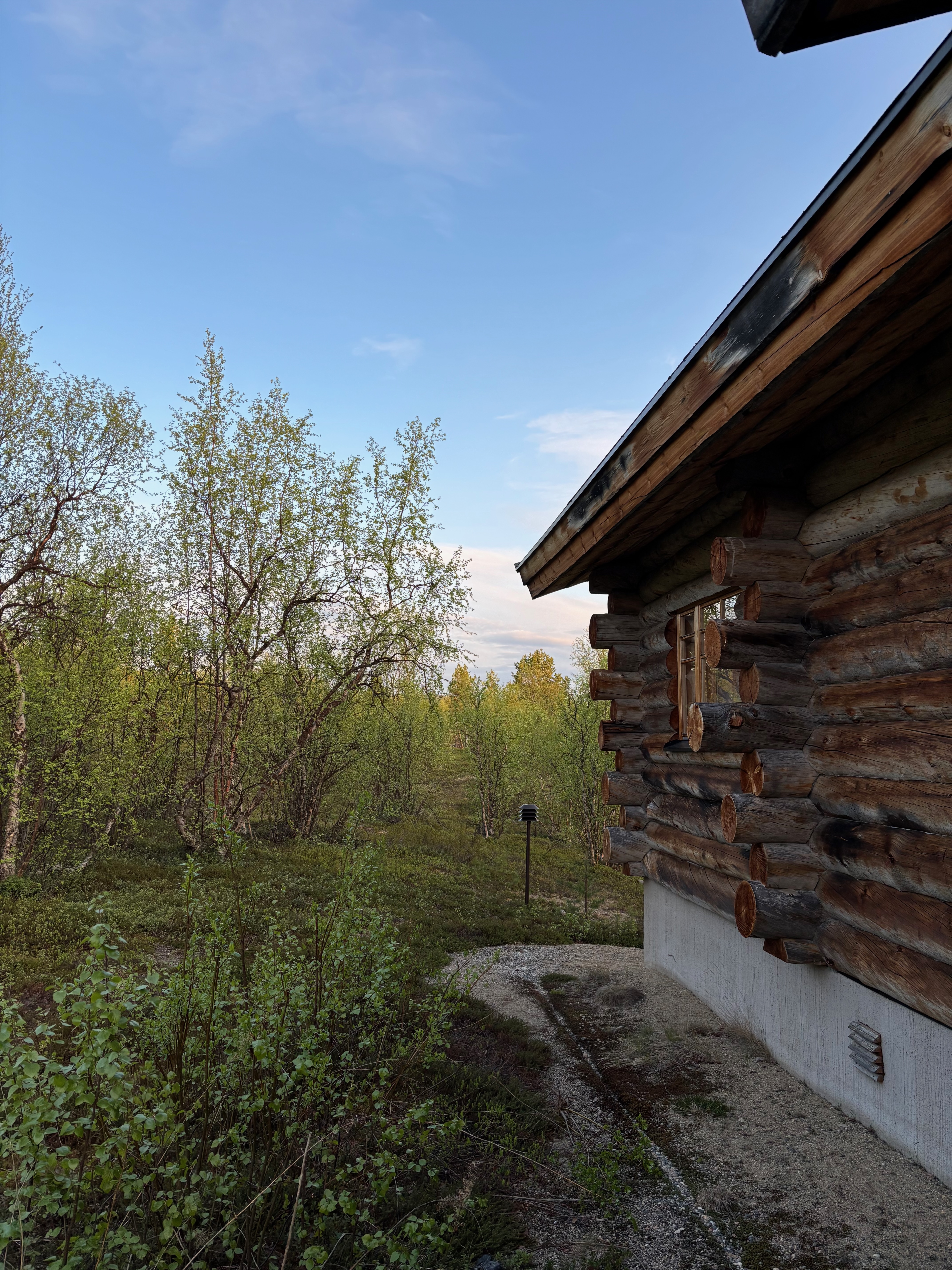 Side of cabin with birch trees