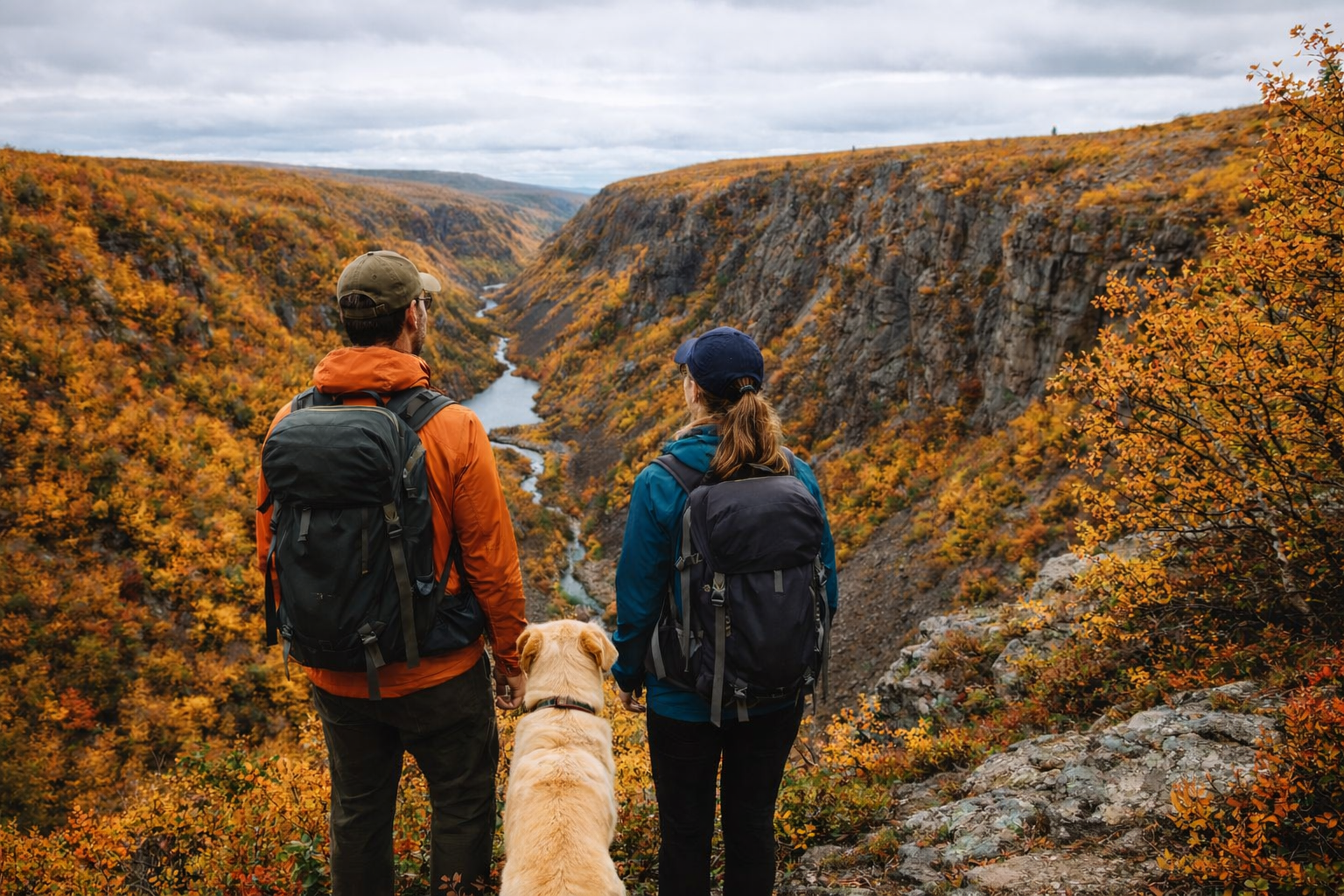 Kevo canyon in summer