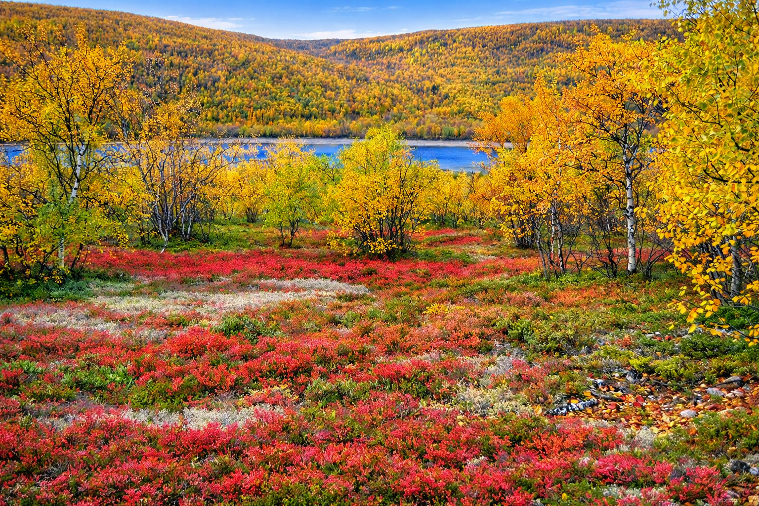 Ruska autumn colours on the fells