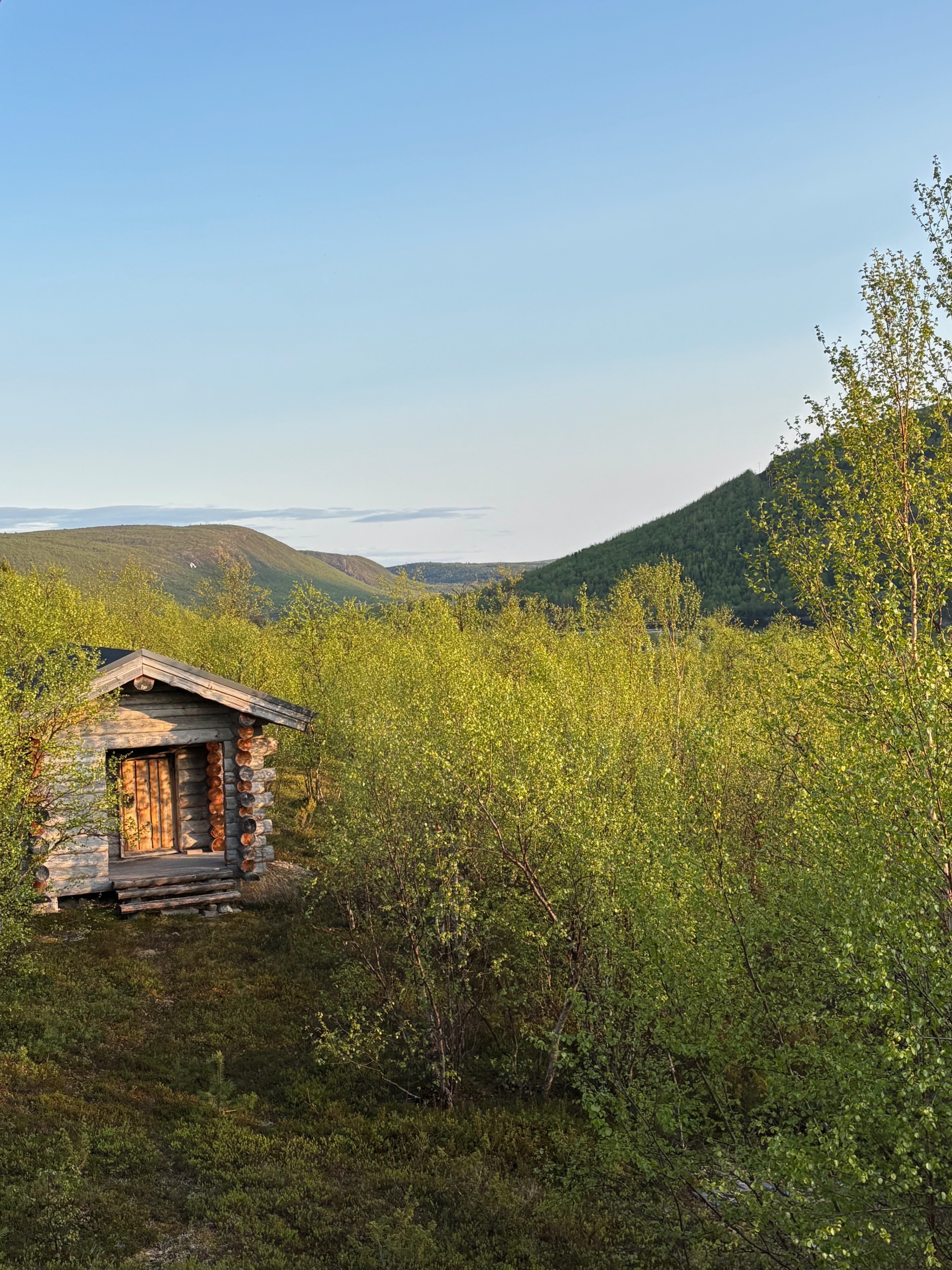 Smoke sauna building among birch trees, fells in background, evening