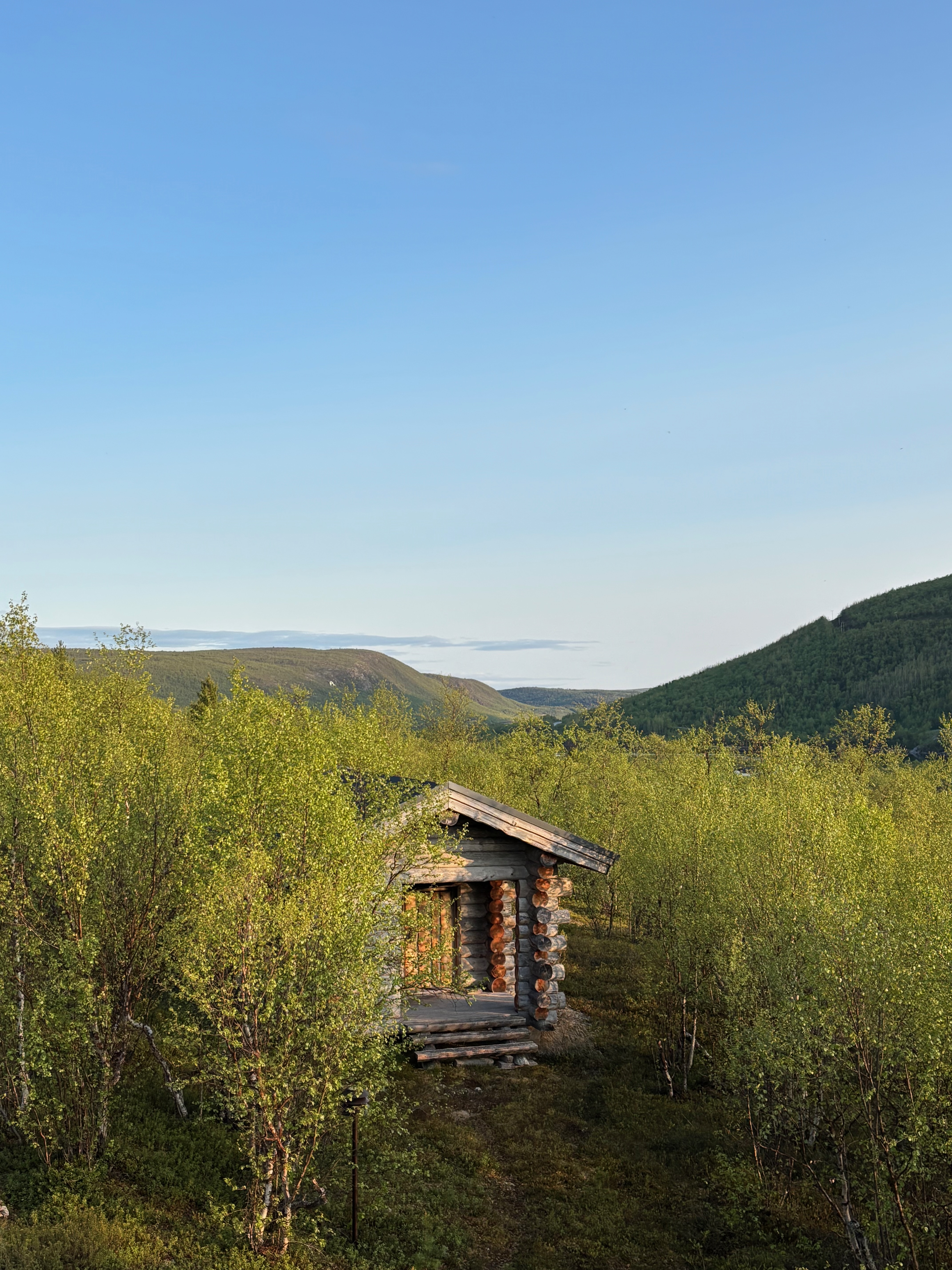 Smoke sauna wider shot with birch landscape